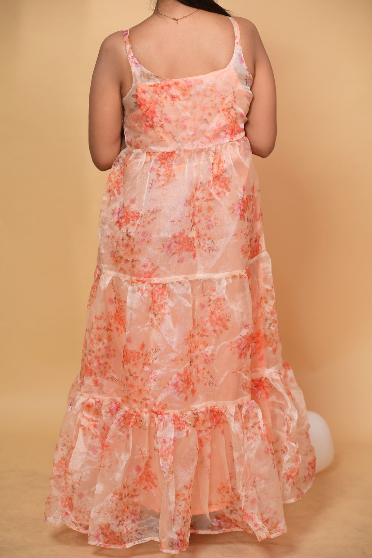 The Sheer Peach Gown - Image 3
